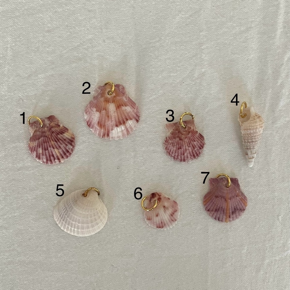 Calico Sea Shell Charms!🐚 - Picture 2 of 3